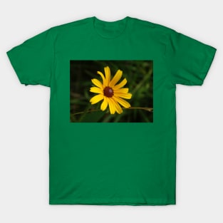 Flower Collection 8 T-Shirt